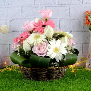 Capitivating Fresh Flowers Capitivating Fresh Flowers