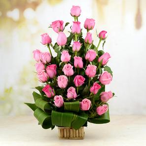 Beautiful Pink Roses Beautiful Pink Roses