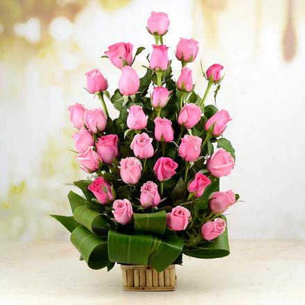 Beautiful Pink Roses