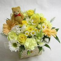 Special Flower Basket with a Teddy