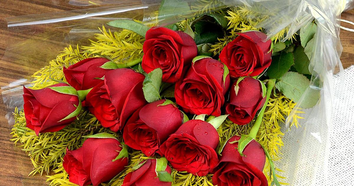 Prosperous Red Roses | Roses to India