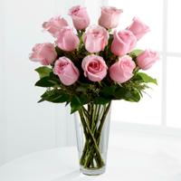 Alluring Pink Roses