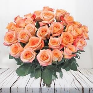 Peach Roses in Full Bloom