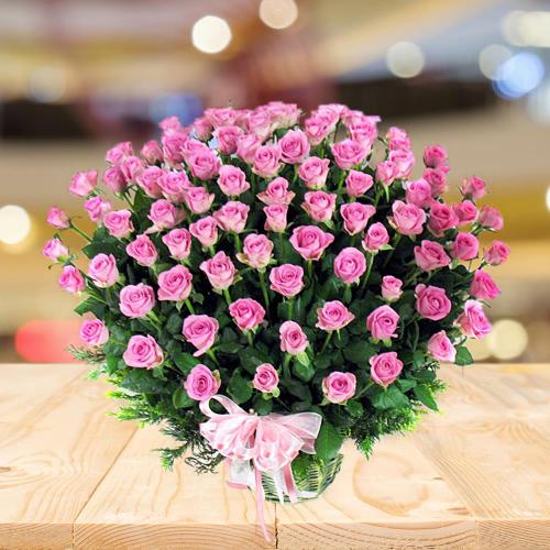 Pink Roses Wonder