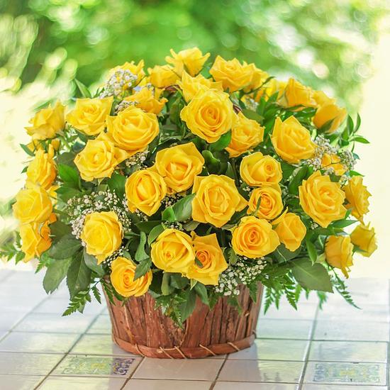 Charming Yellow Roses