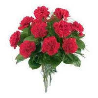 Red Carnations Bunch