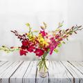 Mixed Dendrobium Orchids