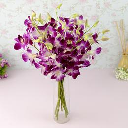 Mistine Dendrobium Orchids