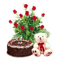 Cake, Roses and Teddy