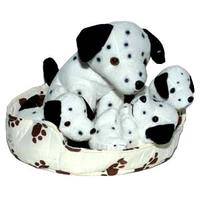 Cute Dalmatians