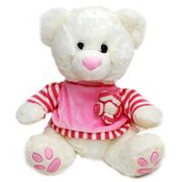 Sweety Teddy