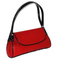 Delightful bag