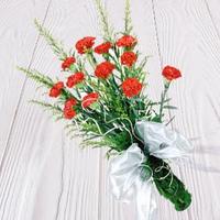 12 Red Carnation Bunch