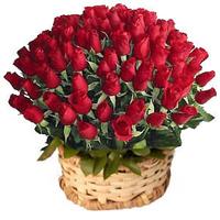 100 Red Roses in a Basket