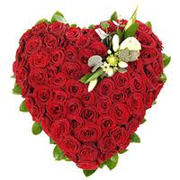 80 Grand Prix Roses