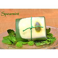 Spearmint