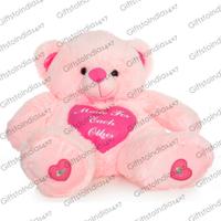 "Made for each other" pink teddy
