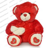 Beautiful Red Teddy Holding a Heart