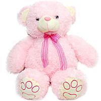 Pink Teddy