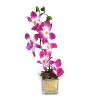 Purple Orchid Artificial Flowers