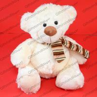 White Teddy Soft Toy