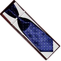 Handsome Neck Tie