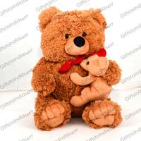 Charming Brown Teddy Bear