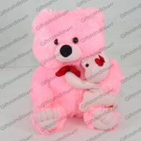 Pink Fleecy Teddy Bear