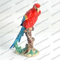 Red Macaw with Blue Tail