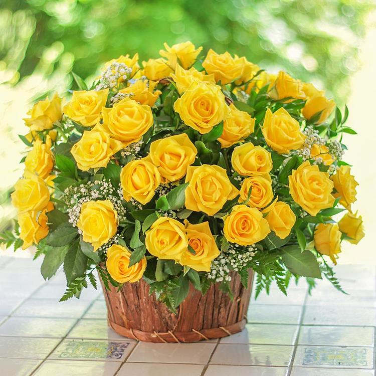 Fresh Yellow Roses in Basket