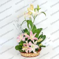 Lily Arrangement For You
