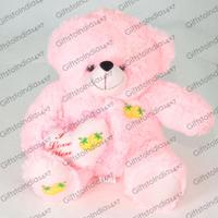 I Love You Pink Teddy