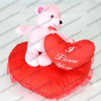 I Love You Teddy On Red Cushion