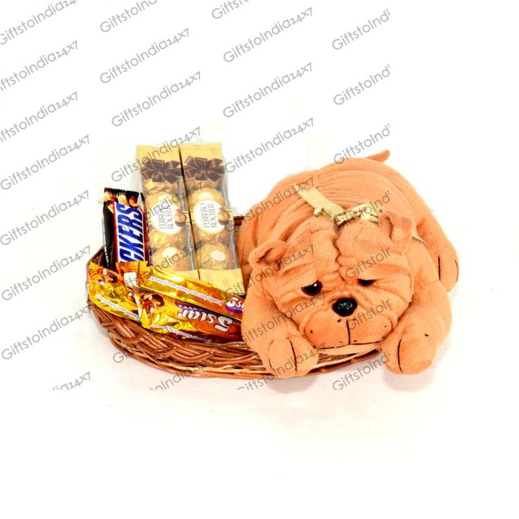 Chocolate with Small puppy