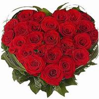 Passionate Red Roses Anniversary