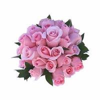 Sweet Pink Roses Valentine 2