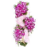Beautiful Orchids Delicate Fantasy Valentine