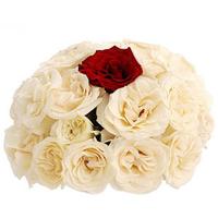 White and Red Roses Valentine