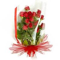 12 Red Roses Bunch Dad