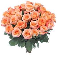 Peach colored Roses in Full Bloom Dad