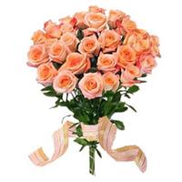 Lovely Peach Roses Dad