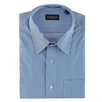 Van Heusen Official Striped Youth