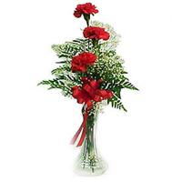3 Carnations in a vase Rose Day