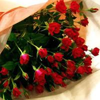 Exclusive Bouquet Rose Day