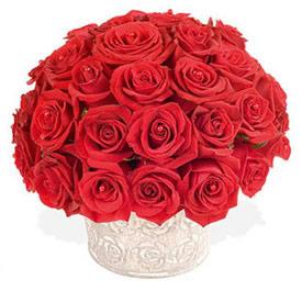 Red Dome Arrangement Rose Day