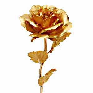 Golden Rose