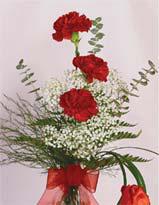 3 Red Carnation in a glass vase