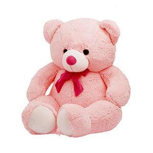 Pink Teddy Bear (Express Delivery)