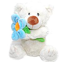 Teddy with Flower