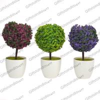 Multi Coloured Pretty Plants Showpiece